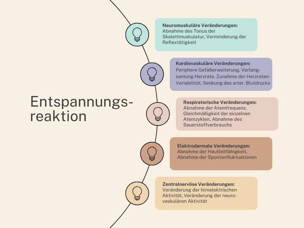 Experten Schockiert! Muskeltraining Wirkt Positiv Auf Hirnleistung Und Verwandelt Ihr Leben! - 5754350